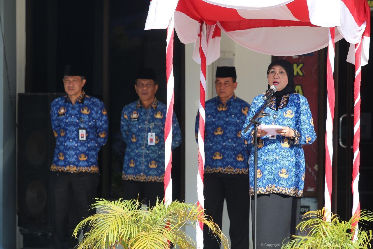 WhatsApp Image 2025 05 20 at 09.16.07